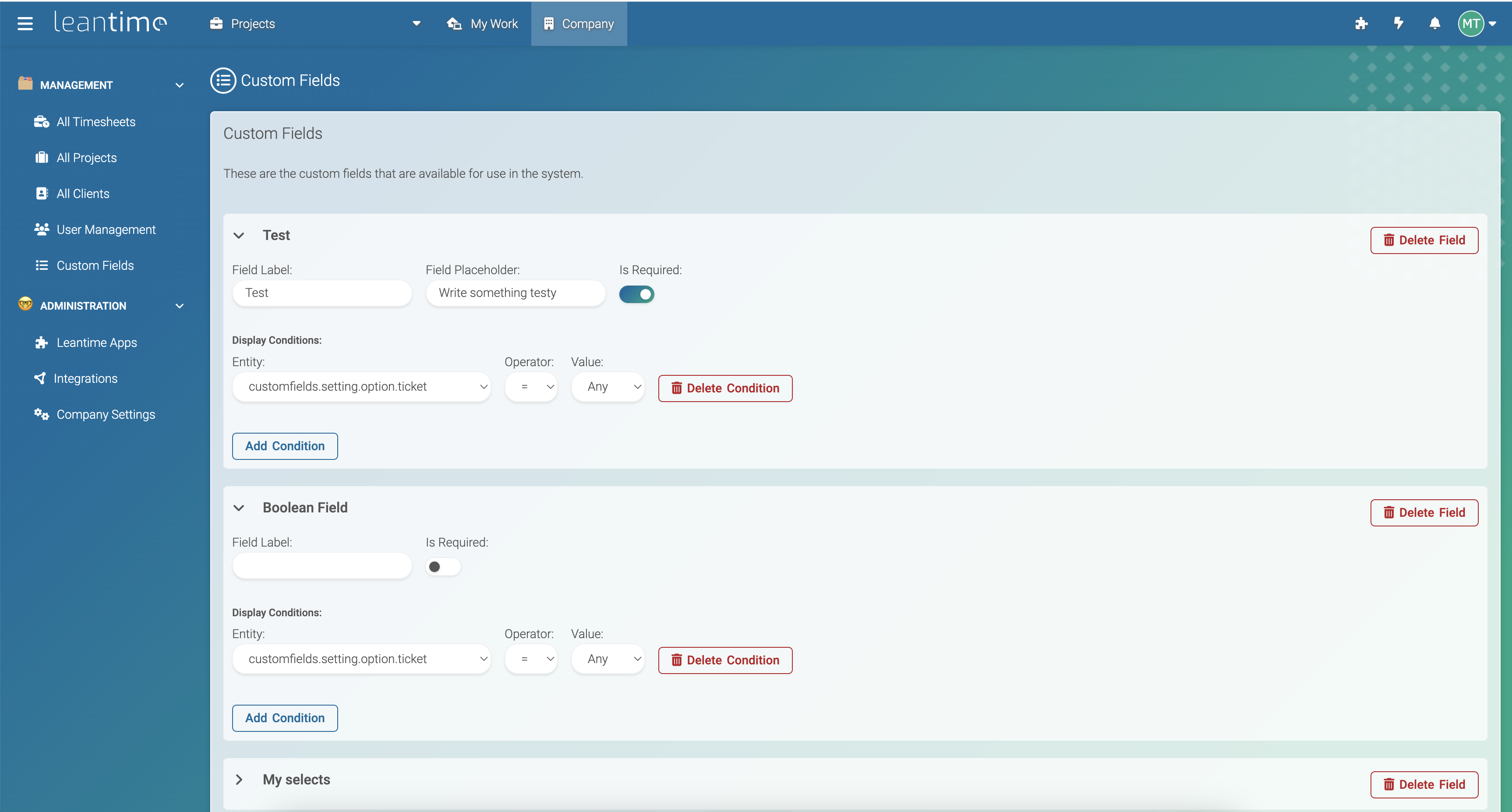 🚀🚀 Leantime 3.0.3 & Custom Fields Plugin